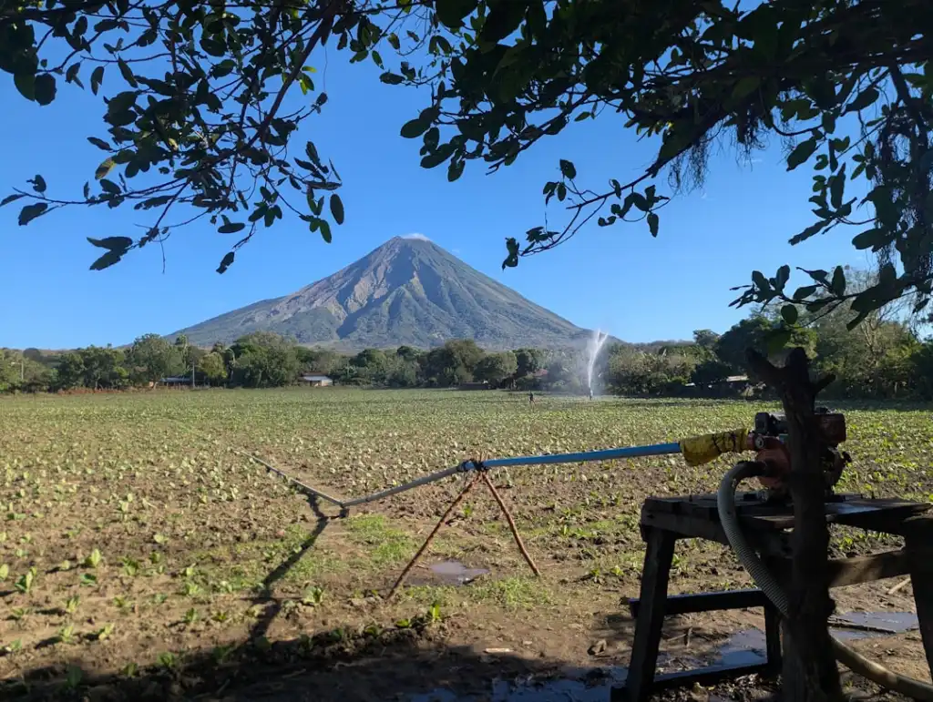 莱芜金润节水灌溉设备型号详解：滴灌与喷灌选型技术要点正文配图 2